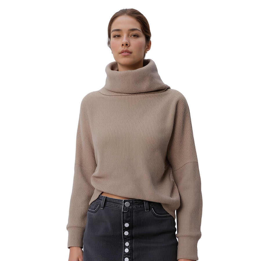 Women's Turtle Neck Ribbed Oversize Sweater Top - shopatkonus